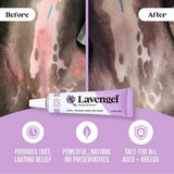 LAVENGEL - Lavengel for Dogs Reduces Skin Irritations and Itching 8Gr. - The Red Vitamin MX - Remedios Para La Picazón De Perros - {{ shop.shopifyCountryName }}