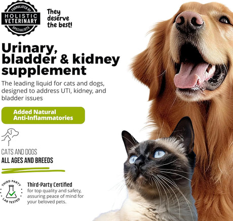 UROMAXX - UroMAXX Cat & Dog Urinary Tract Treatment Chicken Flavor 6 Fl.Oz. 2 Pack - The Red Vitamin MX - Salud De Tracto Urinario Para Perros - {{ shop.shopifyCountryName }}