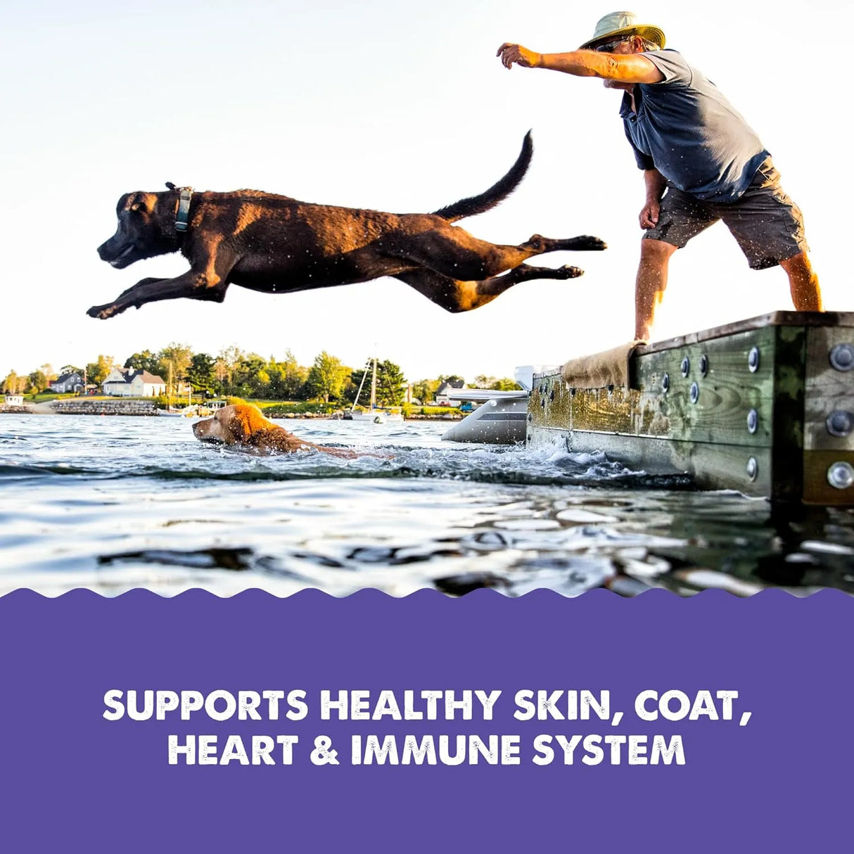 GRIZZLY PET PRODUCTS - Grizzly Pet Products Omega Health Liquid Omega-3 for Dogs and Cats 473Ml. - The Red Vitamin MX - Aceite De Pescado Para Perros - {{ shop.shopifyCountryName }}