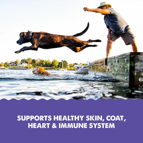 GRIZZLY PET PRODUCTS - Grizzly Pet Products Omega Health Liquid Omega-3 for Dogs and Cats 473Ml. - The Red Vitamin MX - Aceite De Pescado Para Perros - {{ shop.shopifyCountryName }}