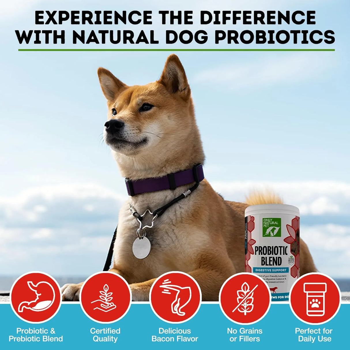 ONLY NATURAL PET - Only Natural Pet Probiotic Dog and Cat 120 Masticables - The Red Vitamin MX - Probióticos Para Perros - {{ shop.shopifyCountryName }}