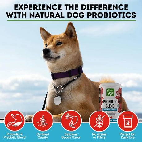 ONLY NATURAL PET - Only Natural Pet Probiotic Dog and Cat 120 Masticables - The Red Vitamin MX - Probióticos Para Perros - {{ shop.shopifyCountryName }}