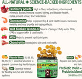 VET TREAT - Vet Treat Dog Multivitamin Chewable with Glucosamine & Salmon Oil 120 Masticables - The Red Vitamin MX - Multivitamínicos Para Perros - {{ shop.shopifyCountryName }}