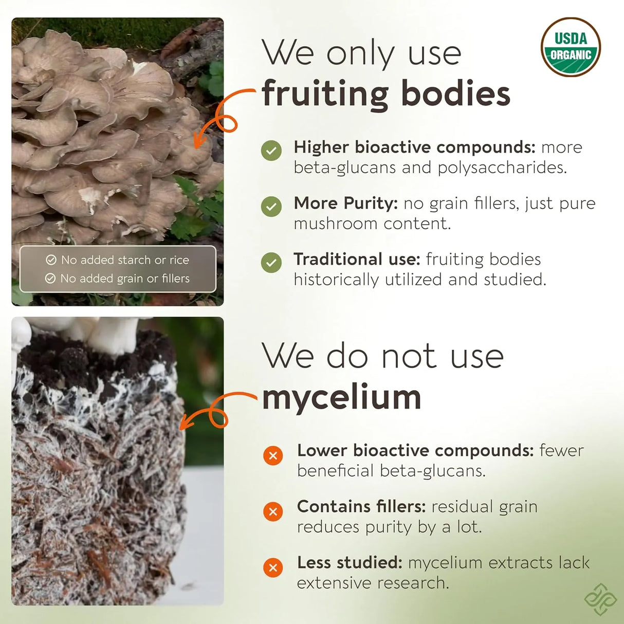 LONGEVITY BOTANICALS - Longevity Botanicals Organic Maitake Mushroom Extract 120 Capsulas - The Red Vitamin MX - Suplementos Alimenticios - {{ shop.shopifyCountryName }}