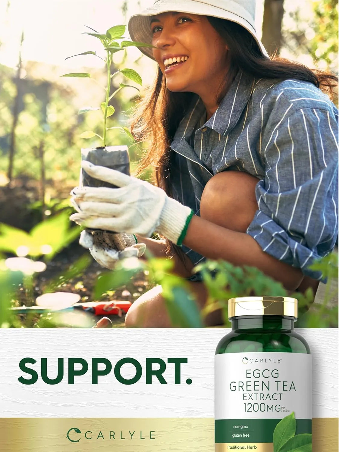 CARLYLE - Carlyle EGCG Green Tea Extract 1200Mg. 200 Capsulas - The Red Vitamin MX - Suplementos Alimenticios - {{ shop.shopifyCountryName }}