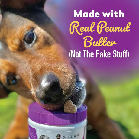 DR. HARVEY'S - Dr. Harvey's Digestive Probiotic Soft Chews for Dogs 90 Masticables - The Red Vitamin MX - Probióticos Para Perros - {{ shop.shopifyCountryName }}