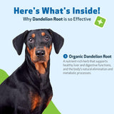 Pet Wellbeing Dandelion Root for Dogs Liver & Heart Health 2 Fl.Oz.