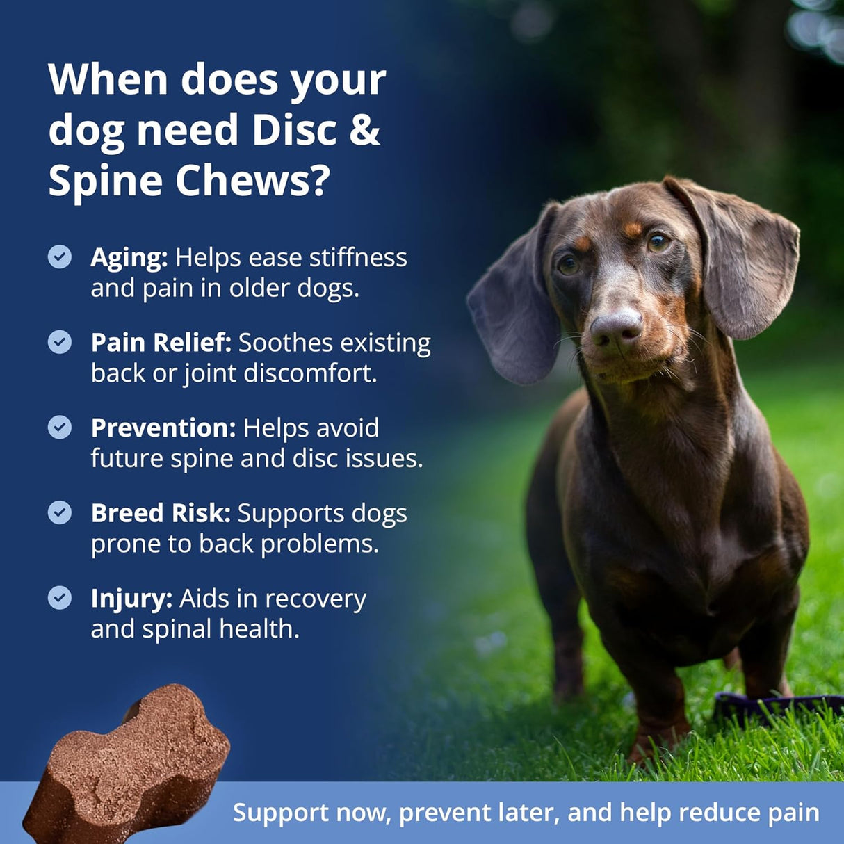 Under The Weather Pet Disc & Spine Health Chews for Dogs 60 Masticables