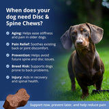 Under The Weather Pet Disc & Spine Health Chews for Dogs 60 Masticables