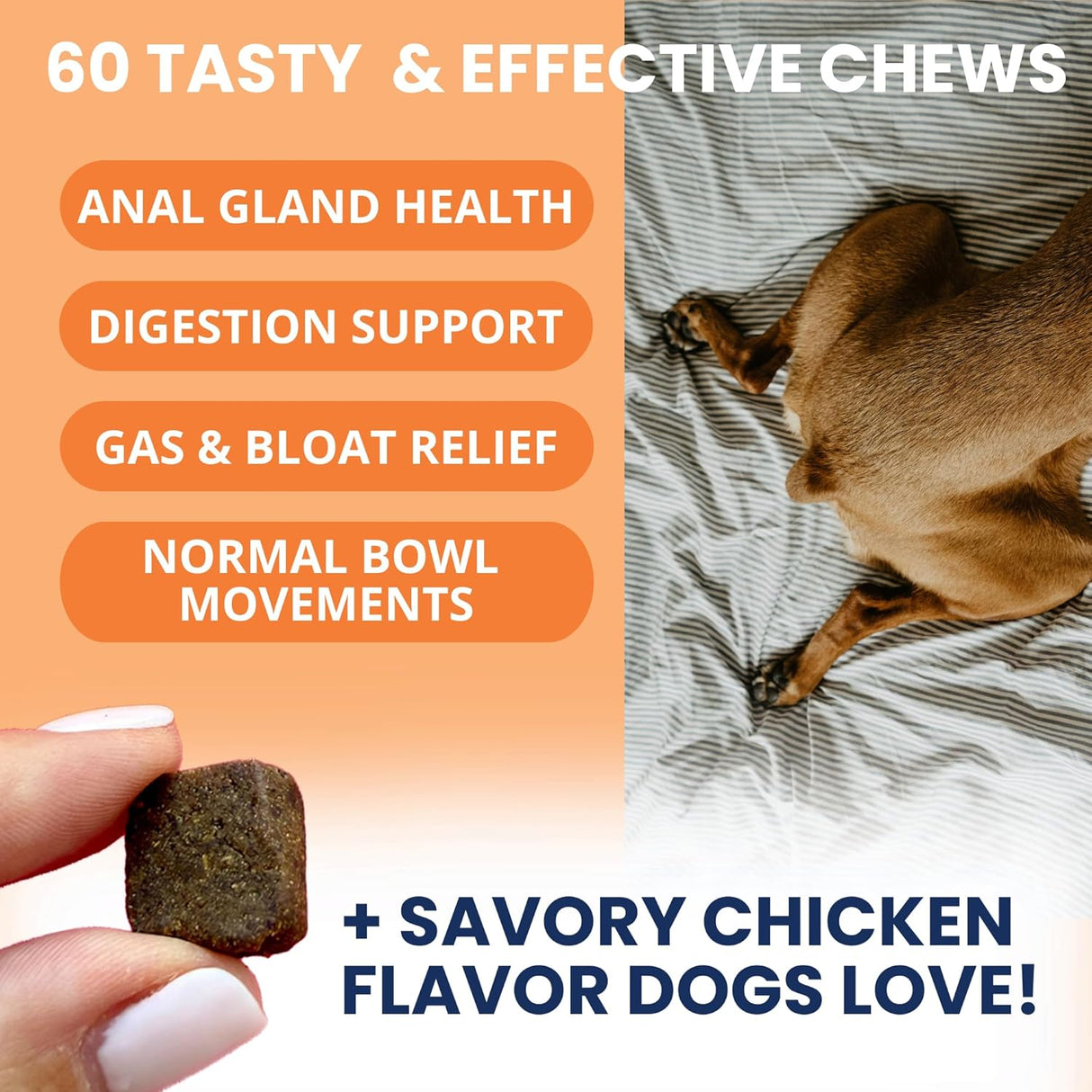 Under The Weather Scoot Stop Chews for Dogs 60 Masticables