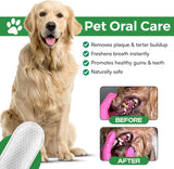 PAWSHER - Pawsher Dogs Dental Wipes 50 Toallitas - The Red Vitamin MX - Cuidado Dental Para Perros - {{ shop.shopifyCountryName }}