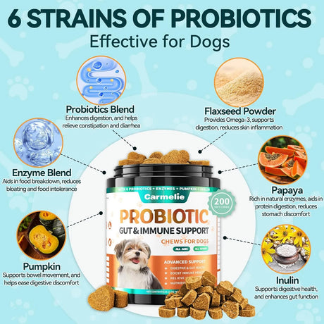 CARMELIE - Carmelie Probiotics for Dogs 200 Masticables - The Red Vitamin MX - Probióticos Para Perros - {{ shop.shopifyCountryName }}