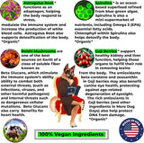 MORE DOG DAYS - More Dog Days Anti-Aging & Immune Support 50 Servicios 330Gr. - The Red Vitamin MX - Suplementos Herbales Para Perros - {{ shop.shopifyCountryName }}