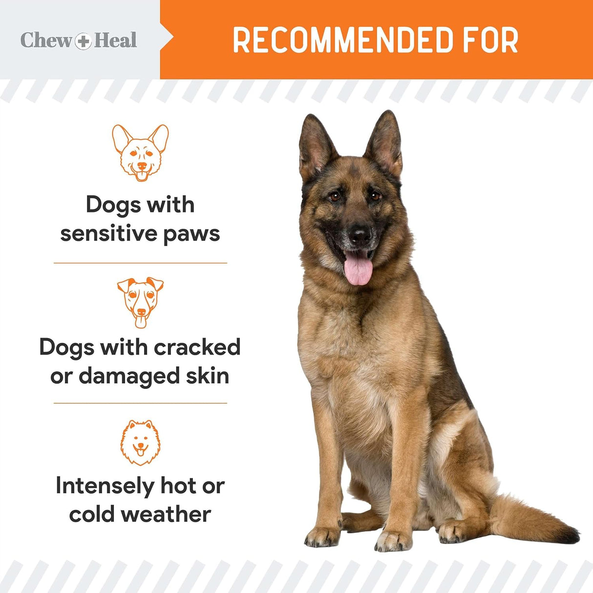 Chew + Heal Labs Dog Paw Balm 2 Oz.
