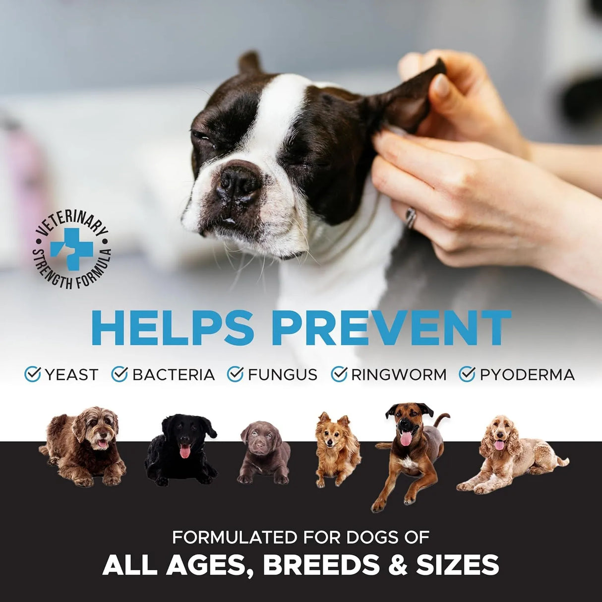 PET HONESTY - Pet Honesty OTIC Dog Ear Cleaner & Ear Health Support 8 Fl.Oz. - The Red Vitamin MX - Cuidado Del Oído De Perros - {{ shop.shopifyCountryName }}