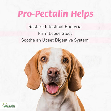 VETOQUINOL - Vetoquinol Pro-Pectalin Oral Paste for Dogs & Cats 30cc - The Red Vitamin MX - Probióticos Para Perros - {{ shop.shopifyCountryName }}