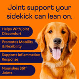 FINN - Finn Hip and Joint Supplement for Dogs 90 Masticables - The Red Vitamin MX - Cuidado De Cadera Y Articulaciones Para Perros - {{ shop.shopifyCountryName }}