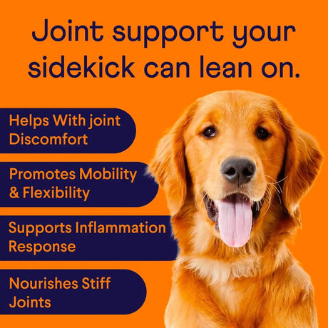 FINN - Finn Hip and Joint Supplement for Dogs 90 Masticables - The Red Vitamin MX - Cuidado De Cadera Y Articulaciones Para Perros - {{ shop.shopifyCountryName }}