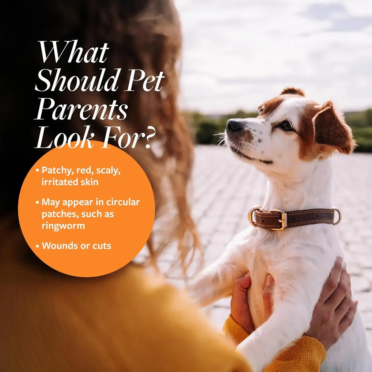 VETERINARY FORMULA - Veterinary Formula Clinical Care Antiseptic and Antifungal Medicated Spray for Dogs & Cats 8 Fl.Oz. - The Red Vitamin MX - Remedios Para La Picazón De Perros - {{ shop.shopifyCountryName }}