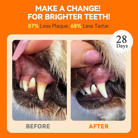 PUAINTA - PUAINTA Dog Teeth Cleaning Powder 90Gr. - The Red Vitamin MX - Cuidado Dental Para Perros - {{ shop.shopifyCountryName }}