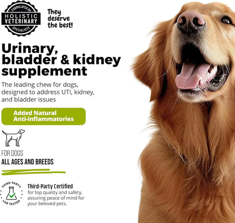 UROMAXX - UroMAXX Dog Urinary Tract Infection Treatment 90 Masticables 2 Pack - The Red Vitamin MX - Salud De Tracto Urinario Para Perros - {{ shop.shopifyCountryName }}