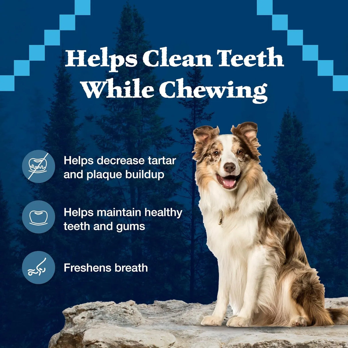 BLUE BUFFALO - Blue Buffalo Wilderness Trail Treats Wild Bones Large Dental Chews 280Gr. - The Red Vitamin MX - Cuidado Dental Para Perros - {{ shop.shopifyCountryName }}
