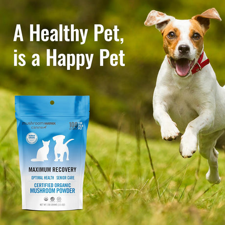 OM - Om Mushroom Matrix Pet Maximum Recovery 100Gr. - The Red Vitamin MX - Suplementos Herbales Para Perros - {{ shop.shopifyCountryName }}