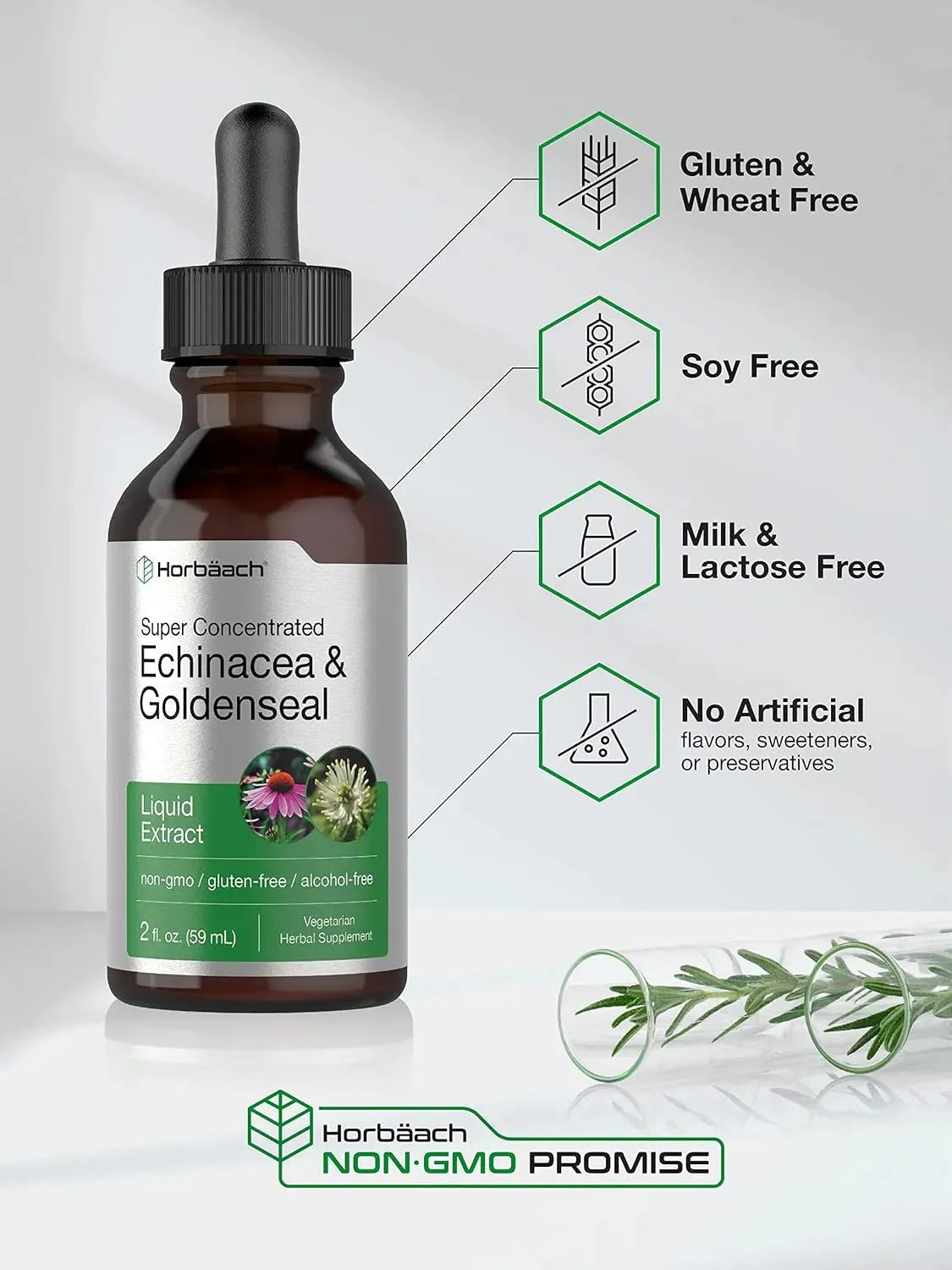 HORBAACH - Horbaach Echinacea Goldenseal Liquid Extract 2 Fl.Oz. - The Red Vitamin MX - Suplementos Alimenticios - {{ shop.shopifyCountryName }}