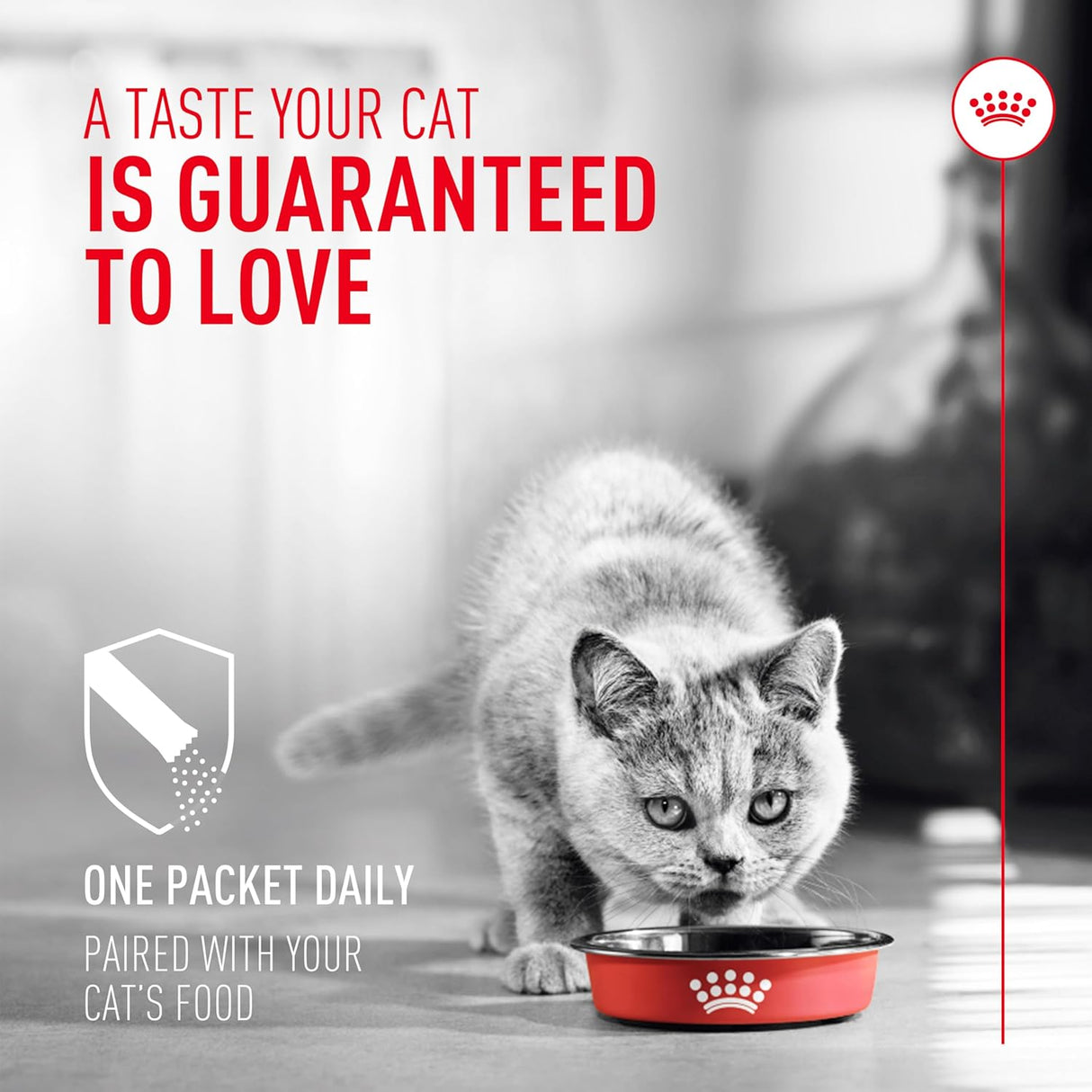 Royal Canin Probiotics for Cats Digestive and Immune Health Powder 30 Paquetes