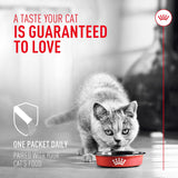 Royal Canin Probiotics for Cats Digestive and Immune Health Powder 30 Paquetes
