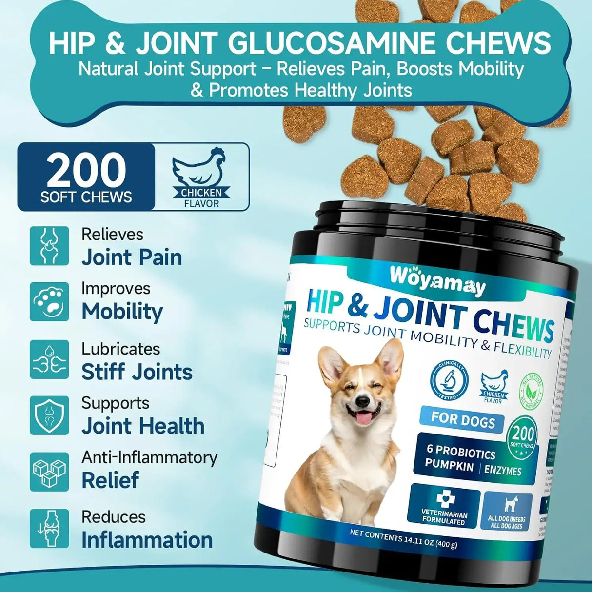 WOYAMAY - Woyamay Hip and Joint Supplement for Dogs 200 Masticables - The Red Vitamin MX - Cuidado De Cadera Y Articulaciones Para Perros - {{ shop.shopifyCountryName }}