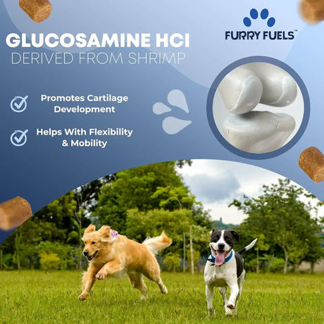 FURRY FUELS - FURRY FUELS Hip and Joint Supplement for Dogs 120 Masticables - The Red Vitamin MX - Cuidado De Cadera Y Articulaciones Para Perros - {{ shop.shopifyCountryName }}