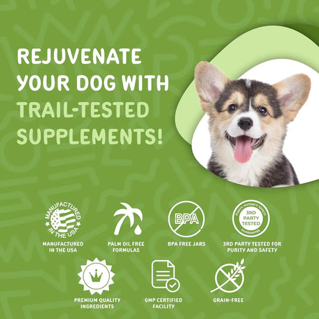 WAGGEDY - waggedy Daily Essentials Puppy 60 Masticables - The Red Vitamin MX - Multivitamínicos Para Perros - {{ shop.shopifyCountryName }}