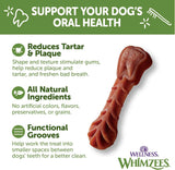 WELLNESS WHIMZEES - WHIMZEES Wellness Brushzees Dog Dental Treats Extra Small Size Stick 48 Piezas - The Red Vitamin MX - Cuidado Dental Para Perros - {{ shop.shopifyCountryName }}