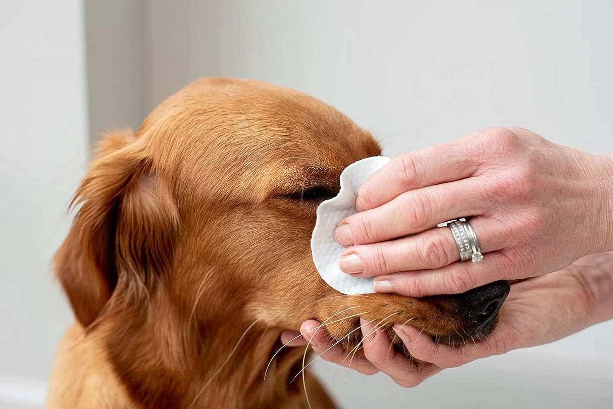 PET WIZ - pet wiz Aloe Vera Eye Wipes for Cleaning Dogs & Cats 120 Toallitas - The Red Vitamin MX - Cuidado De Los Ojos De Los Perros - {{ shop.shopifyCountryName }}