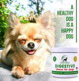 GENUINE NATURALS - Genuine Naturals Digestive Supplement for Dogs Probiotics Chews 120 Masticables - The Red Vitamin MX - Probióticos Para Perros - {{ shop.shopifyCountryName }}