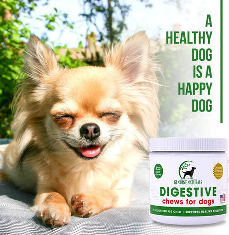 GENUINE NATURALS - Genuine Naturals Digestive Supplement for Dogs Probiotics Chews 120 Masticables - The Red Vitamin MX - Probióticos Para Perros - {{ shop.shopifyCountryName }}