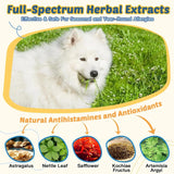 ZEBORA - Zebora Dog Allergy Relief Chews 120 Masticables - The Red Vitamin MX - Remedios Para La Picazón De Perros - {{ shop.shopifyCountryName }}