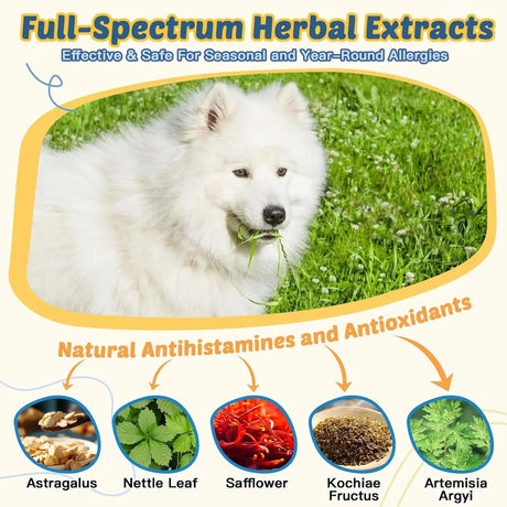 ZEBORA - Zebora Dog Allergy Relief Chews 120 Masticables - The Red Vitamin MX - Remedios Para La Picazón De Perros - {{ shop.shopifyCountryName }}