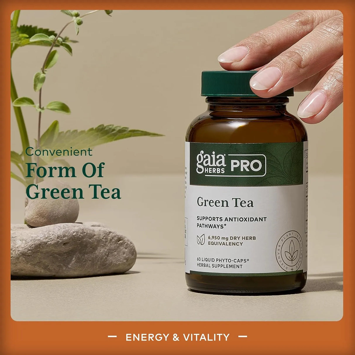 GAIA HERBS - Gaia Herbs Pro Green Tea 60 Capsulas - The Red Vitamin MX - Suplementos Alimenticios - {{ shop.shopifyCountryName }}