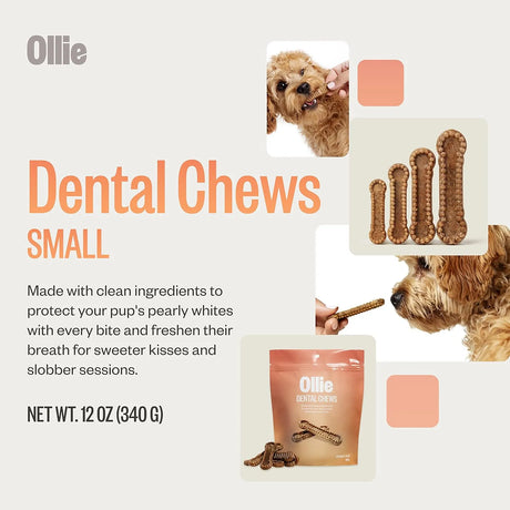 OLLIE - Ollie Dental Chews for Small Dogs 16-25 lbs 22 Piezas - The Red Vitamin MX - Cuidado Dental Para Perros - {{ shop.shopifyCountryName }}