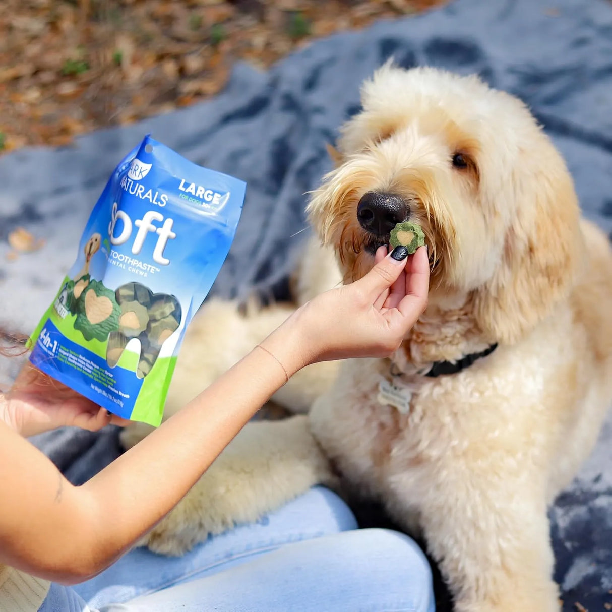 ARK NATURALS - Ark Naturals Soft Brushless Toothpaste for Large Breeds 508Gr. - The Red Vitamin MX - Cuidado Dental Para Perros - {{ shop.shopifyCountryName }}