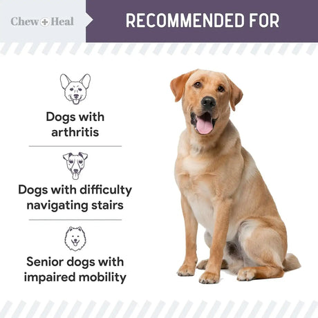 CHEW + HEAL - Chew + Heal Labs Senior Mobility and Vitality 120 Tabletas - The Red Vitamin MX - Cuidado De Cadera Y Articulaciones Para Perros - {{ shop.shopifyCountryName }}