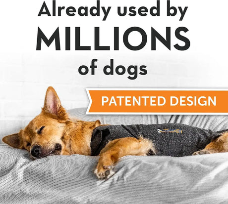 THUNDERSHIRT - ThunderShirt for Dogs Anxiety Relief Calming Vest XLARGE - The Red Vitamin MX - Relajantes Para Perros - {{ shop.shopifyCountryName }}