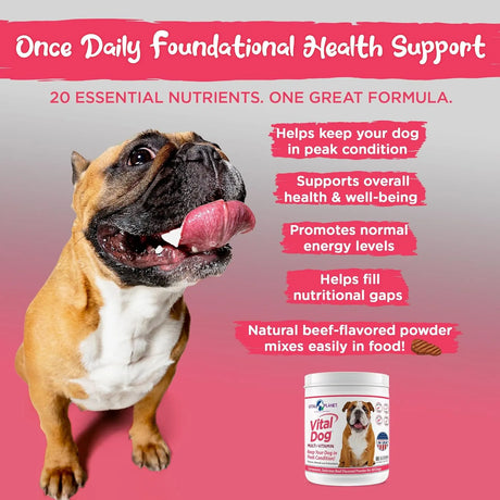 VITAL PLANET - Vital Planet Vital Dog Multi Vitamin Powder 30 Servicios 75Gr. - The Red Vitamin MX - Multivitamínicos Para Perros - {{ shop.shopifyCountryName }}
