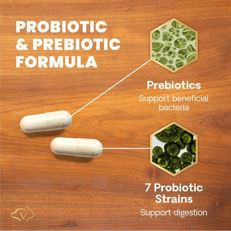 VETRISCIENCE - VetriScience Extra Strength Gut Health Probiotic & Prebiotic 180 Capsulas - The Red Vitamin MX - Probióticos Para Perros - {{ shop.shopifyCountryName }}