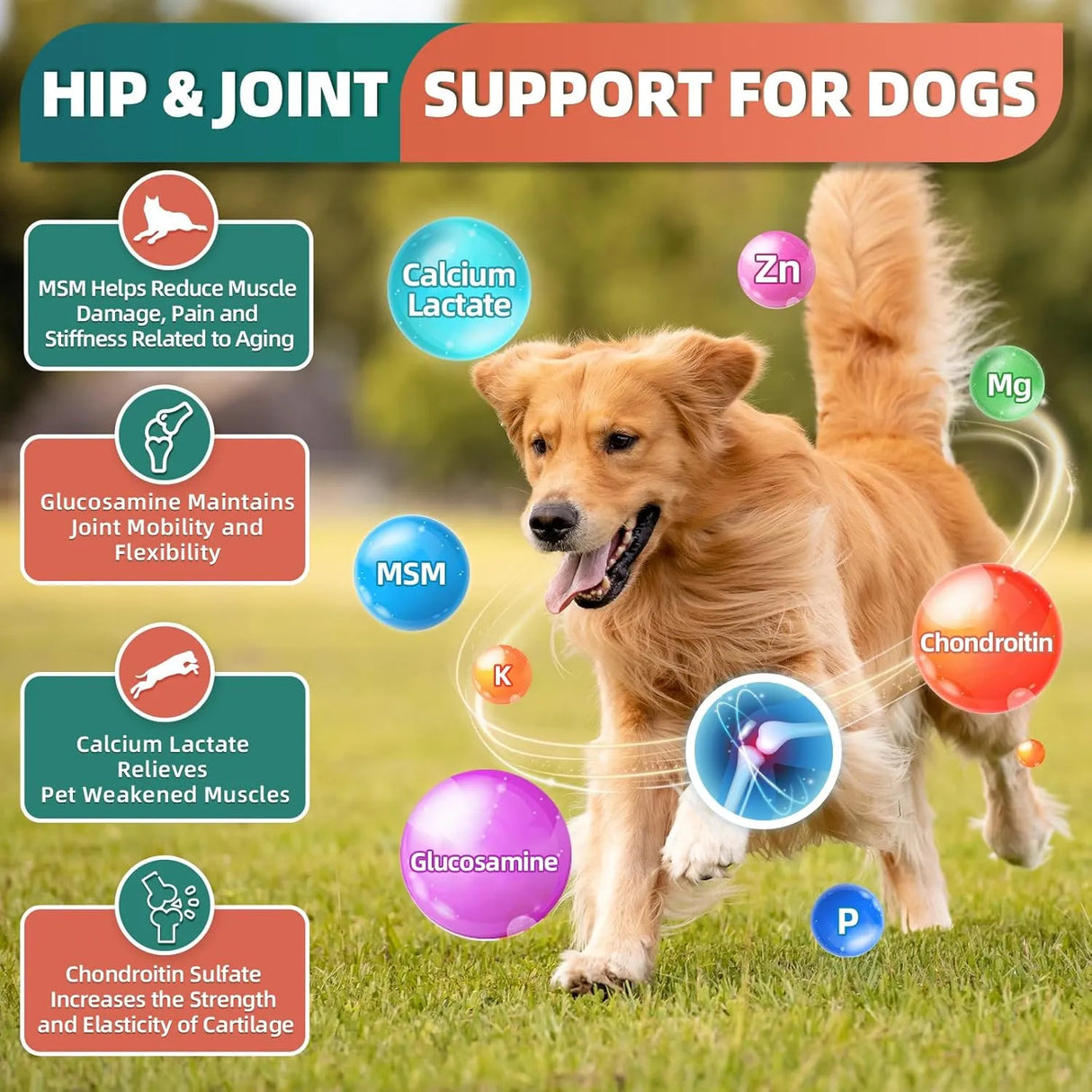 DR FOSTER - DR FOSTER Dog Multivitamin Chicken Flavor 180 Masticables - The Red Vitamin MX - Multivitamínicos Para Perros - {{ shop.shopifyCountryName }}