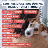 Under the Weather Bland Diet for Dogs Turkey Oatmeal Sweet Potato & Slippery Elm 6 Oz.