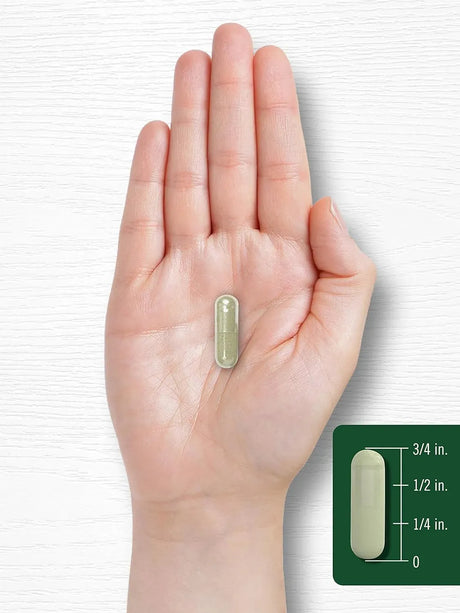 CARLYLE - Carlyle Dong Quai 1000Mg. 250 Capsulas - The Red Vitamin MX - Suplementos Alimenticios - {{ shop.shopifyCountryName }}
