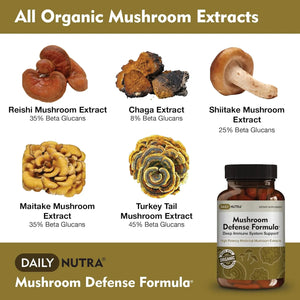 DAILY NUTRA - DailyNutra Mushroom Defense Formula 90 Capsulas - The Red Vitamin MX - Suplementos Alimenticios - {{ shop.shopifyCountryName }}